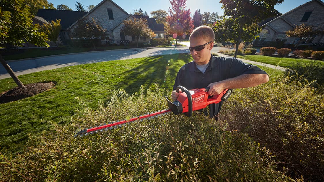 best weed eater under 100